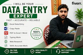 do data entry  copy paste  microsoft excel and word