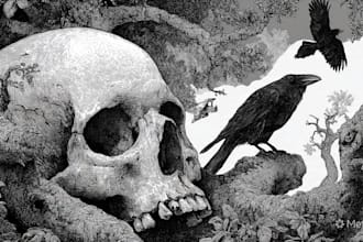 draw professional black and white ink illustration