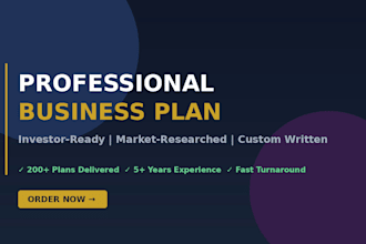 create a professional business plan for investors and funding