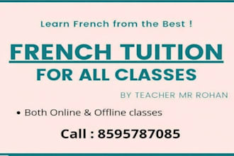 teach you french from beginner to intermediate level