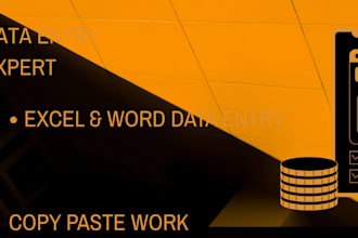 do professional data entry, copy paste and web research