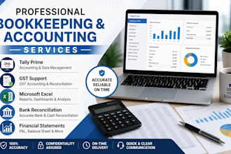 do gst bookkeeping, tally prime, excel and accounting tasks