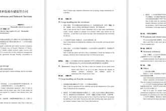 translate chinese to english professionally