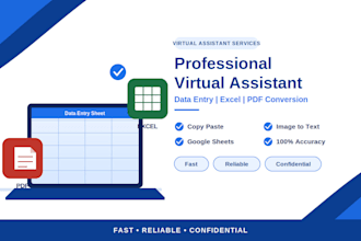 do accurate data entry, microsoft excel, web research and virtual assistant task