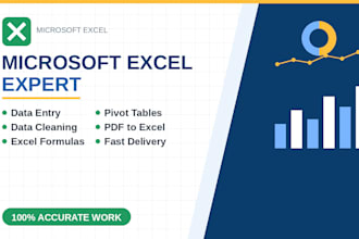 do microsoft excel data entry, cleaning and formatting
