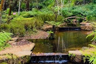 provide high quality nature and landscape photos of sri lanka