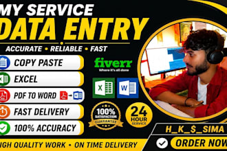 do accurate data entry, excel, copy paste and typing