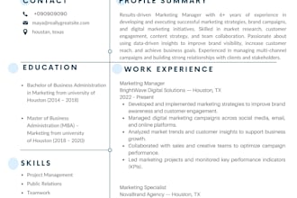 create a professional CV and resume design