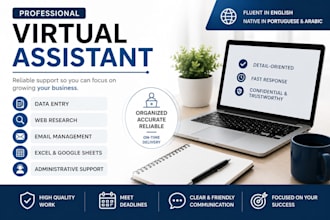 be your virtual assistant for data entry and admin tasks