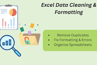 clean, format, and organize your microsoft excel data
