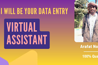 be your professional data entry operator