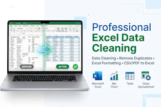 do excel data cleaning data entry CSV and PDF to excel conversion