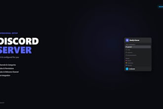 et up and design a professional discord server for you