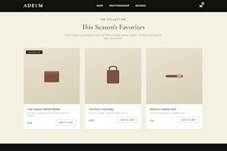 design a custom modern website for your business