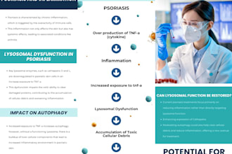 informative and creative brochure layouts