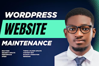 fix wordpress website errors, bugs and issues