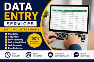 professional data entry specialist