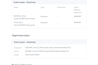 prepare a flight ticket document for 2 to 4 travelers