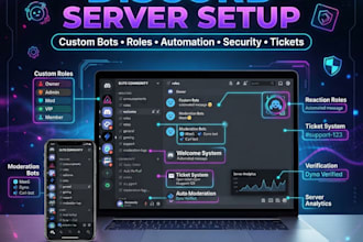 set up a professional discord server with bots, roles and automation