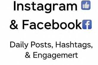manage your instagram and  facebook page