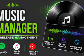 be your music manager music distribution release management and dsp setup
