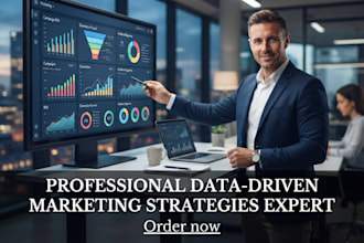 create professional data driven marketing strategy