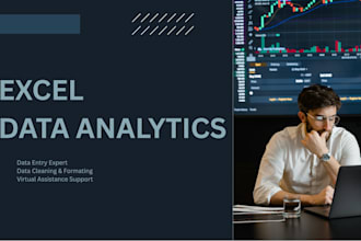 be your virtual assistance for data entry and excel data analytics