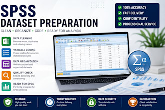 prepare, clean and organize excel datasets for spss analysis