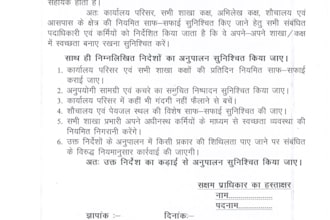 write professional official letters,noting and office orders in hindi