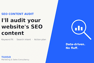 do an SEO content audit for your website