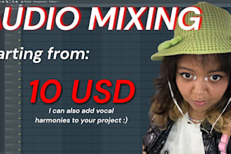 mix and master a project for you