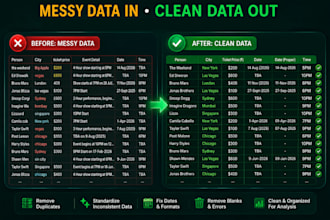 clean, format and standardize excel or CSV data
