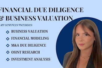 provide business valuation, due diligence, financial modeling and osint research