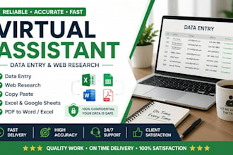 do prefessional data entry, web research and excel data entry