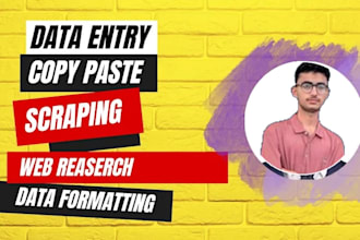 do fast data entry,data scraper,excel data cleaning and formatting