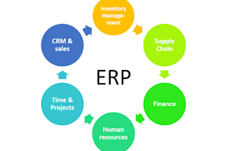 customise erp software according to your needs
