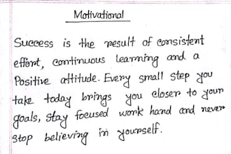 provide professional handwritten work