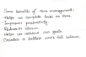 provide professional handwritten work