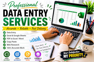 do accurate data entry , exel , web research and pdf conversion