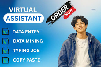 be your virtual assistant for data entry, data mining, copy paste, web research