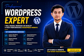 advance wordpres developer expert, wordpress designer,custom