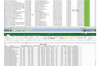 build websites and provide accurate data entry service