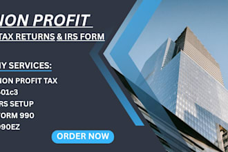 prepare and e file irs form 990, 990ez, 1023ez and 501c3 nonprofit tax
