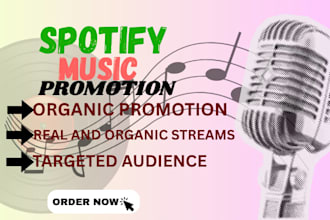 promote your spotify music with targeted spotify music ads campaign