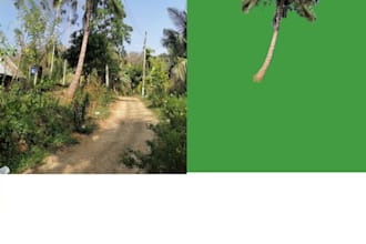 do professional photo editing and background removal
