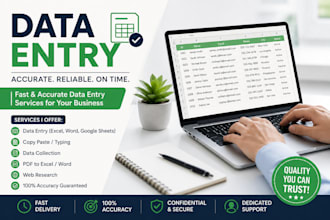 do data entry, copy paste VA