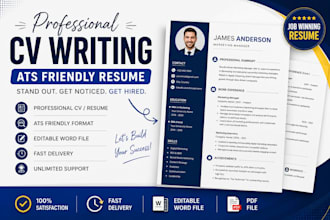 write a professional cv