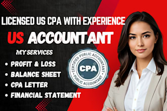 prepare profit and loss, balance sheet, audit financial statement