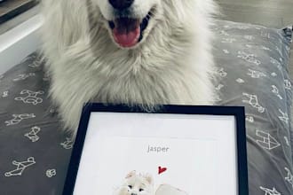 draw a custom pet and owner illustration