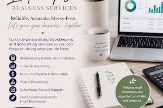 provide professional bookkeeping and accounting services